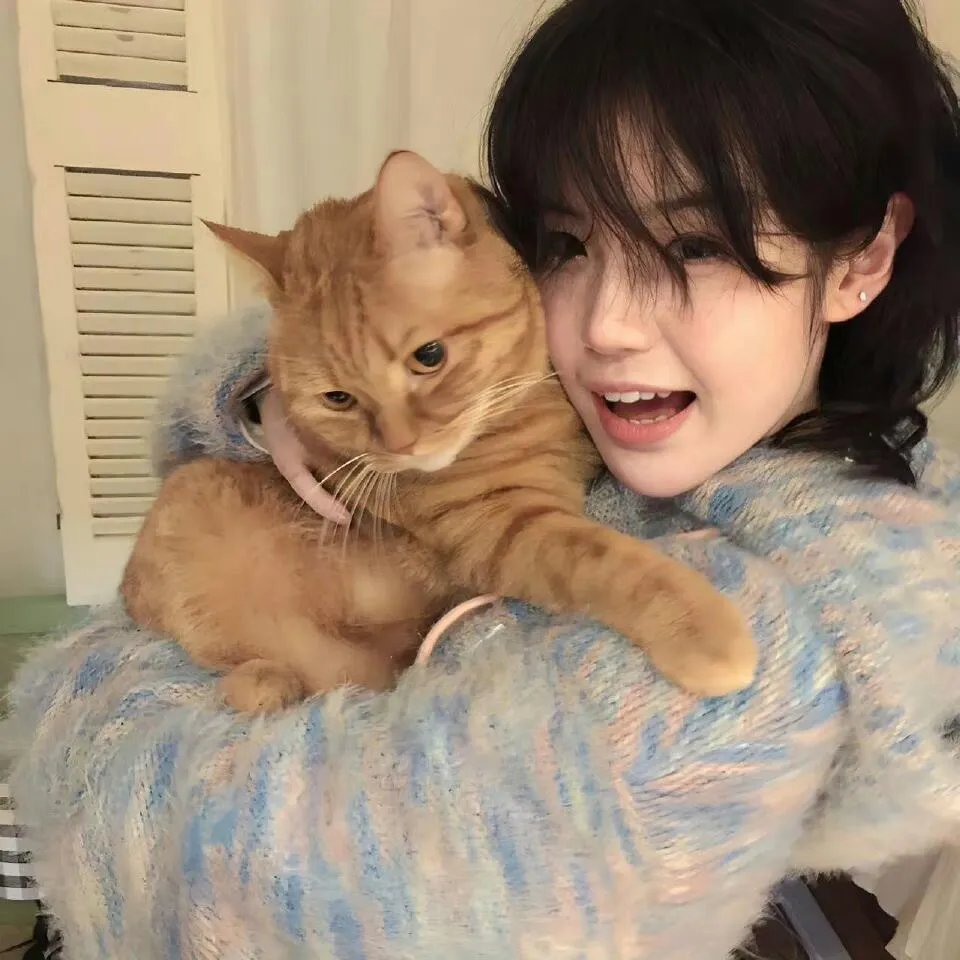 猎赝